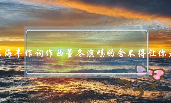 求海丰作词作曲董冬演唱的舍不得让你走(董冬的《懂冬》 歌词)