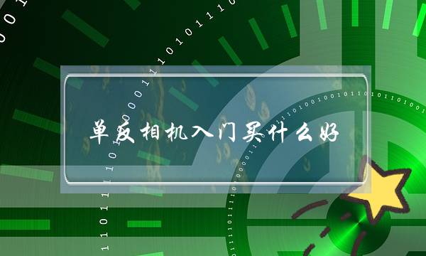 单反相机入门买什么好(单反相机入门机哪款好？)