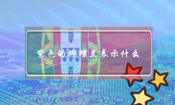 紫色的蝴蝶兰表示什么(紫色的玉叫什么)