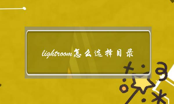 lightroom怎么选择目录(如何快速预览lightroom预设)