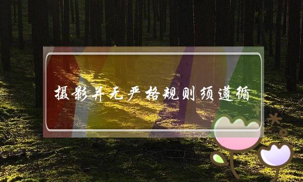 摄影并无严格规则须遵循