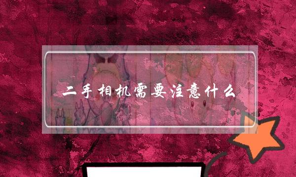 二手相机需要注意什么(二手单反相机如何挑选)