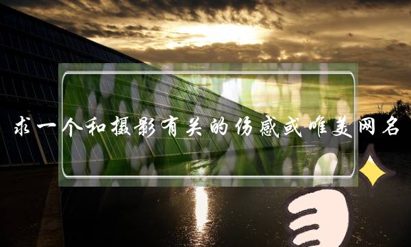 求一个和摄影有关的伤感或唯美网名(与摄影相关的职业有哪些)