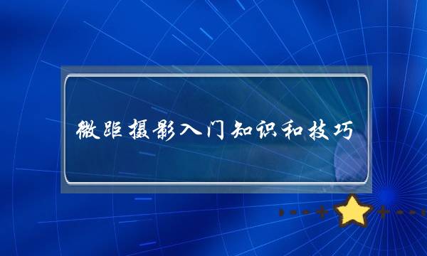 微距摄影入门知识和技巧