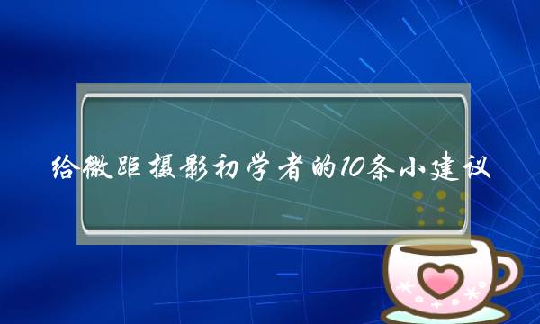 给微距摄影初学者的10条小建议