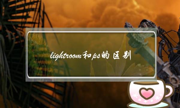 lightroom和ps的区别(ps lightroom是什么软件)